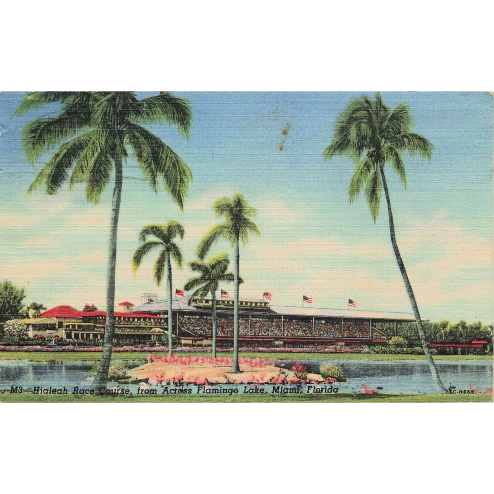 Hialeah Park Race Course Miami FL Linen Postcard 1951 Curteich Flamingo Lake